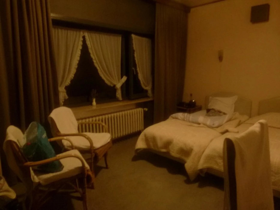 Logis Rostune