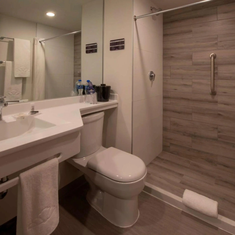 Microtel Inn & Suites by Wyndham San Luis Potosi