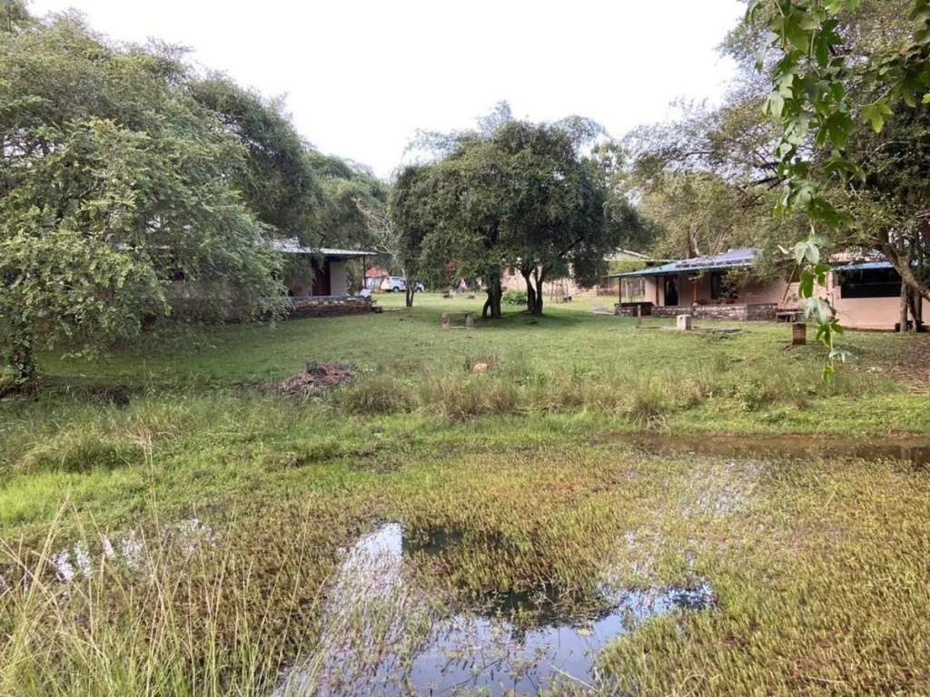 Jungle Hut Resort