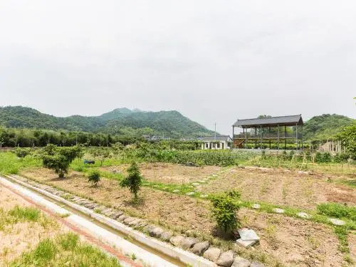 Xi Xiang Ji Guesthouse