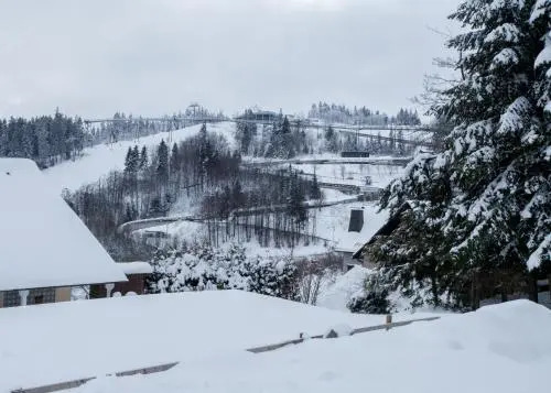 Welcome in - Ferienwohnung met eigen parkeerplaats, gelegen aan de skilift en bikepark, fiets- en skiberging