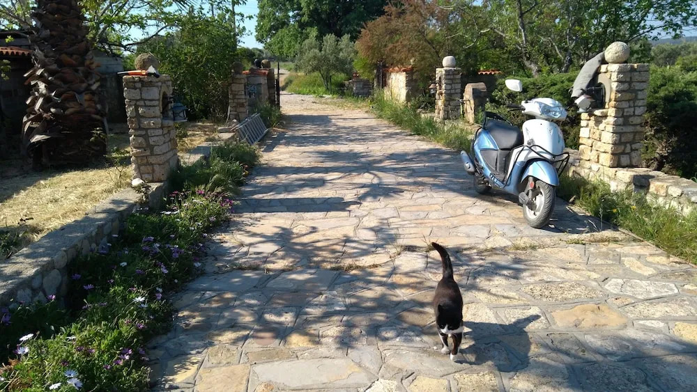 Anemon Ozdemir Bag Evi