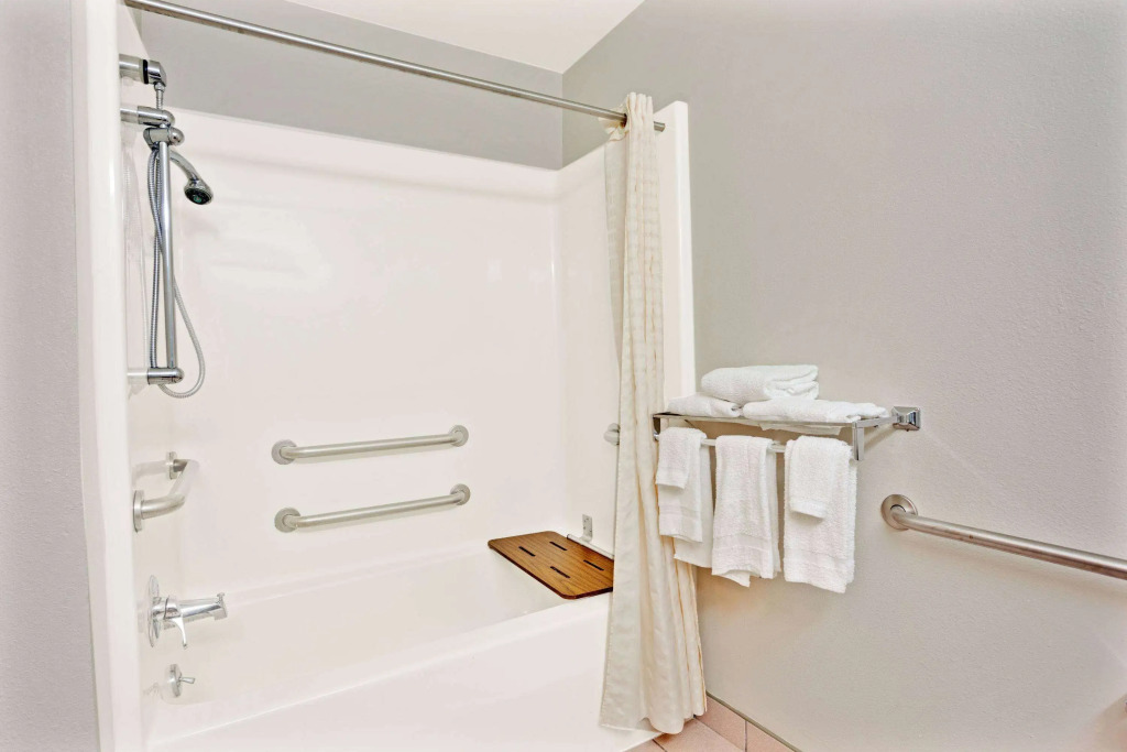 Microtel Inn & Suites by Wyndham Detroit Roseville