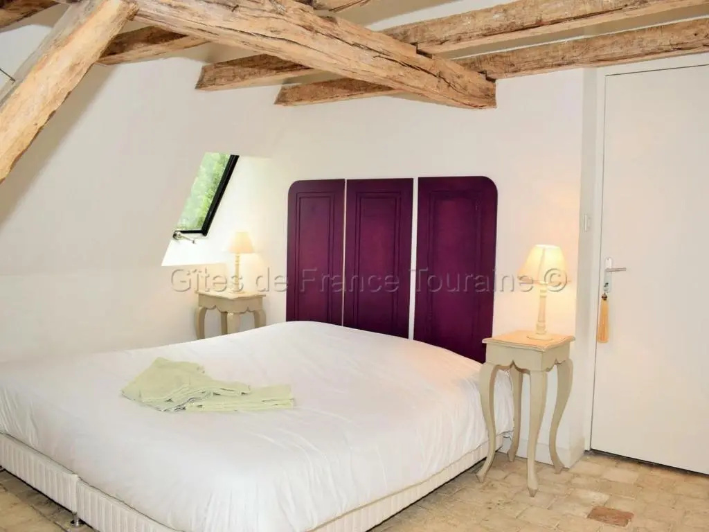 Élégante Demeure 17e avec Spa, Sauna et Authentique Cheminée, proche Châteaux de la Loire - FR-1-381-348