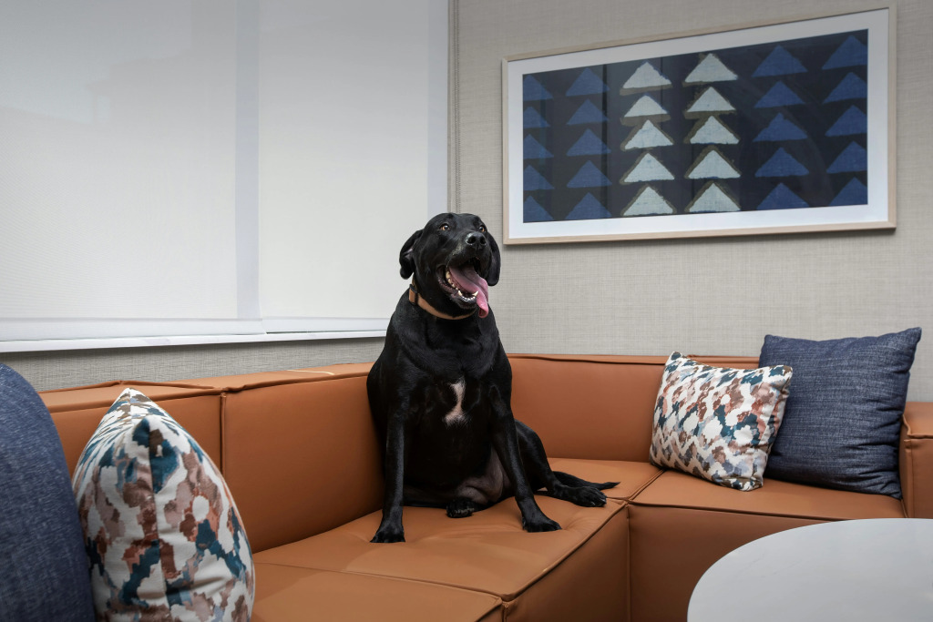 Homewood Suites By Hilton Portsmouth Downtown