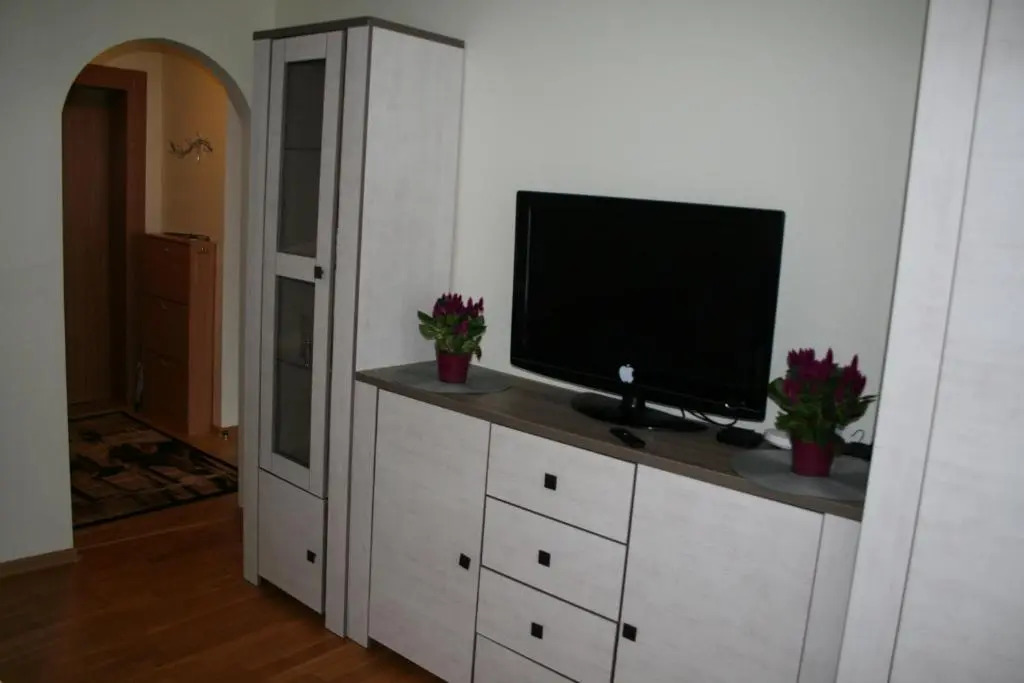 Cosy one room apartment