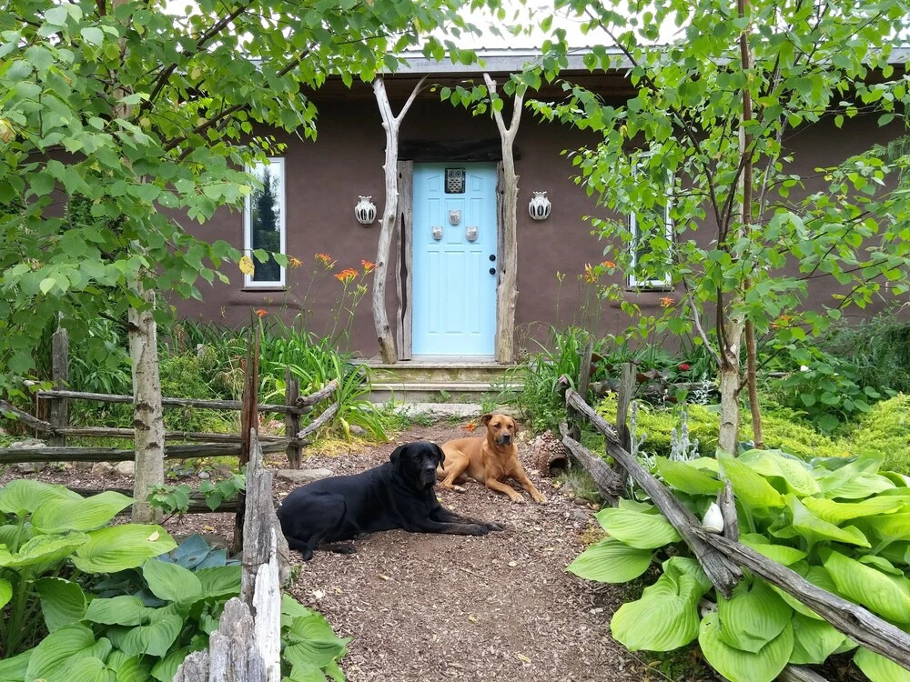 Owls Nest Suites