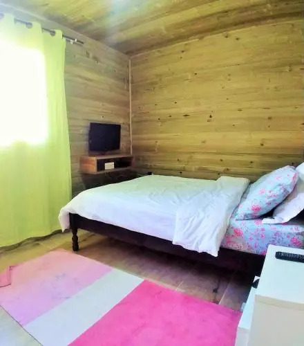 Wood Cabin into the Wild
