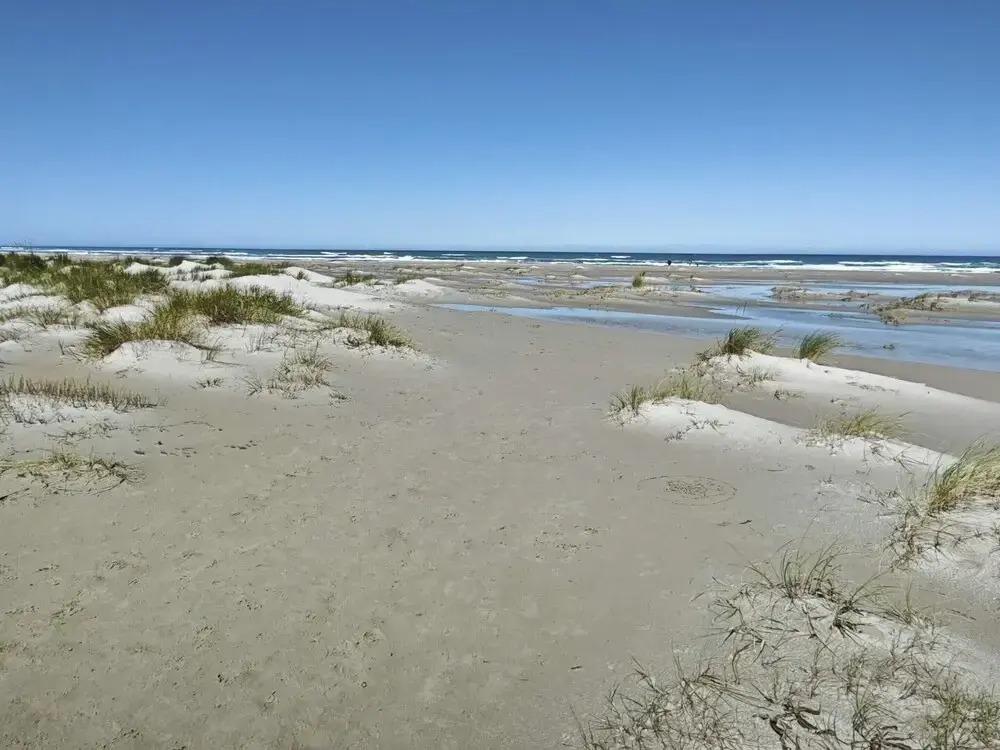 4 Star Holiday Home in Albaek