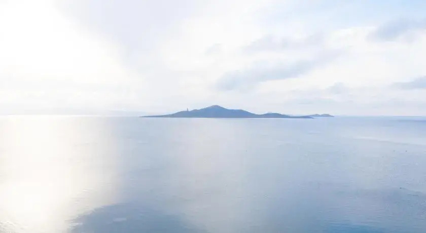 Euromar Hawaii V