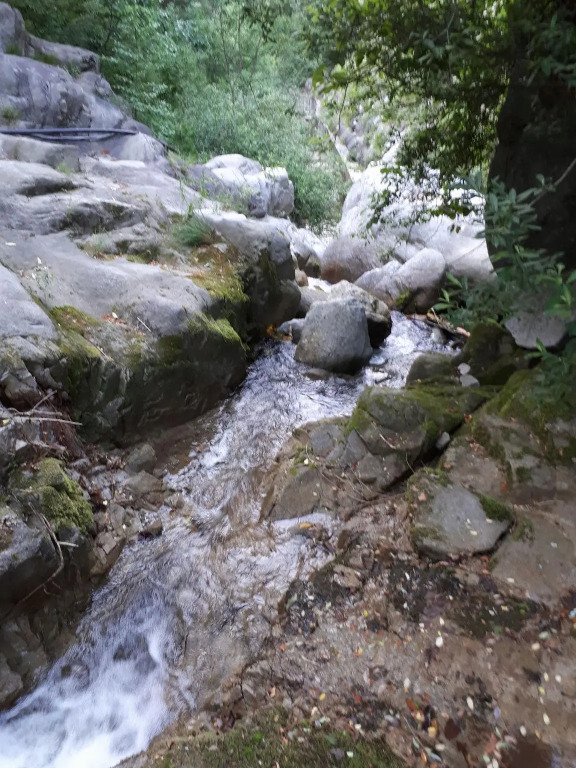 Ravine House