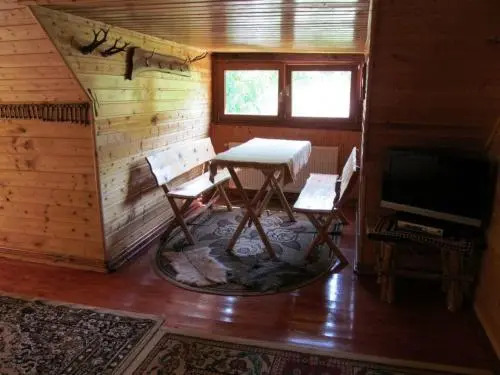 Casa de vacanta Vidrighin