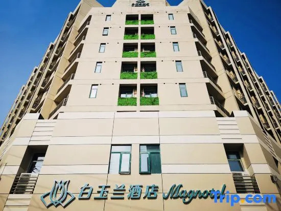 Magnotel Hotel (Wuhan Wushang Dream Times Baotong Temple Subway Station)