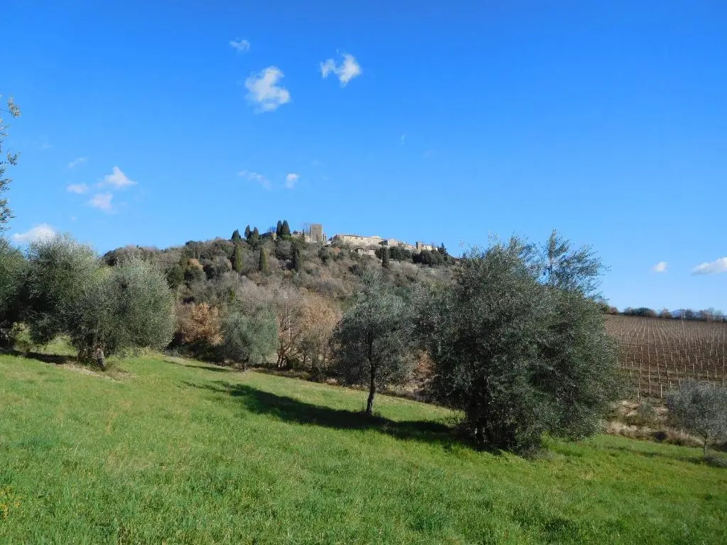 Borgo Vecchio