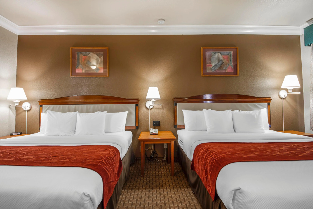 Comfort Inn & Suites San Francisco Airport North
