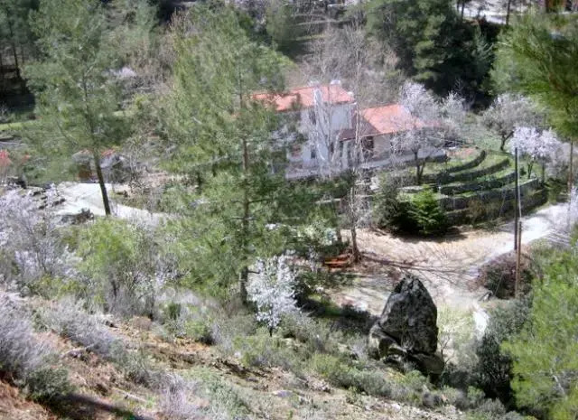 Eftychia's House