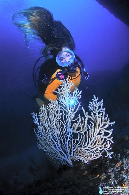PuraVida Divehouse
