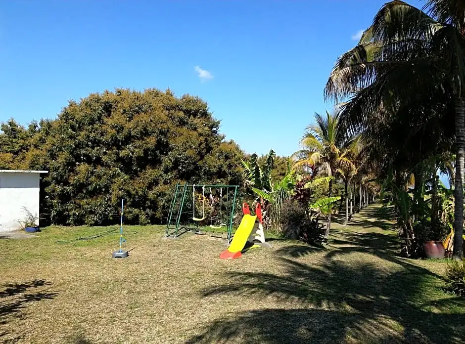 Zoiseaux Paradis