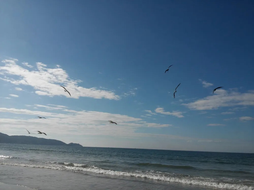 Bombas Beach Hostel
