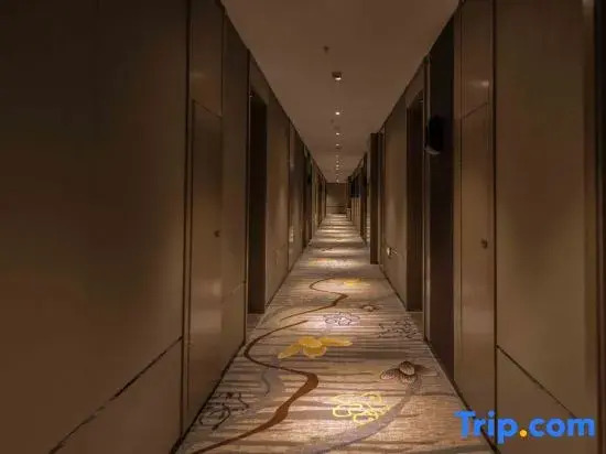 Urumqi Xuanpu Hotel (Airport Degang Wanda Branch)