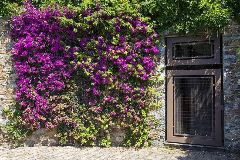 B&B Renalù