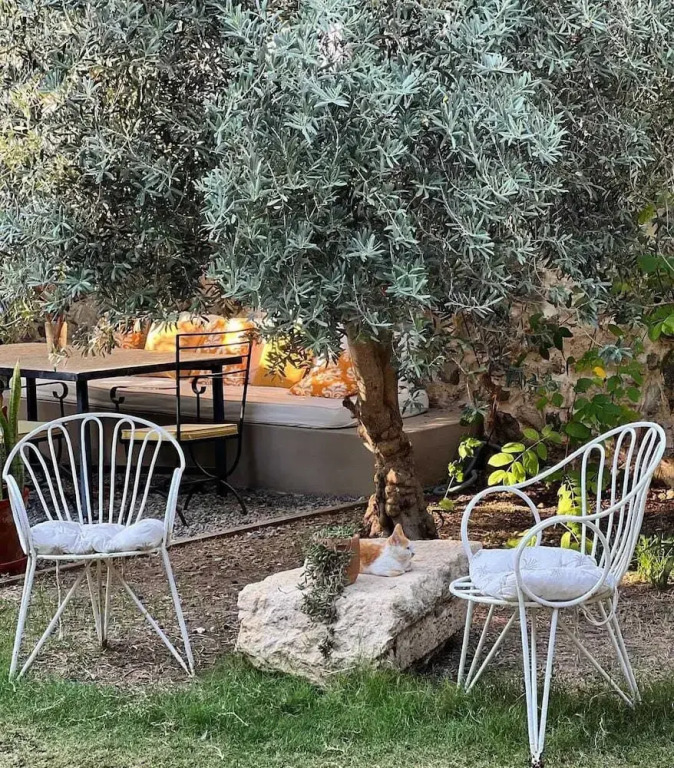 Seki̇z Oda Otel