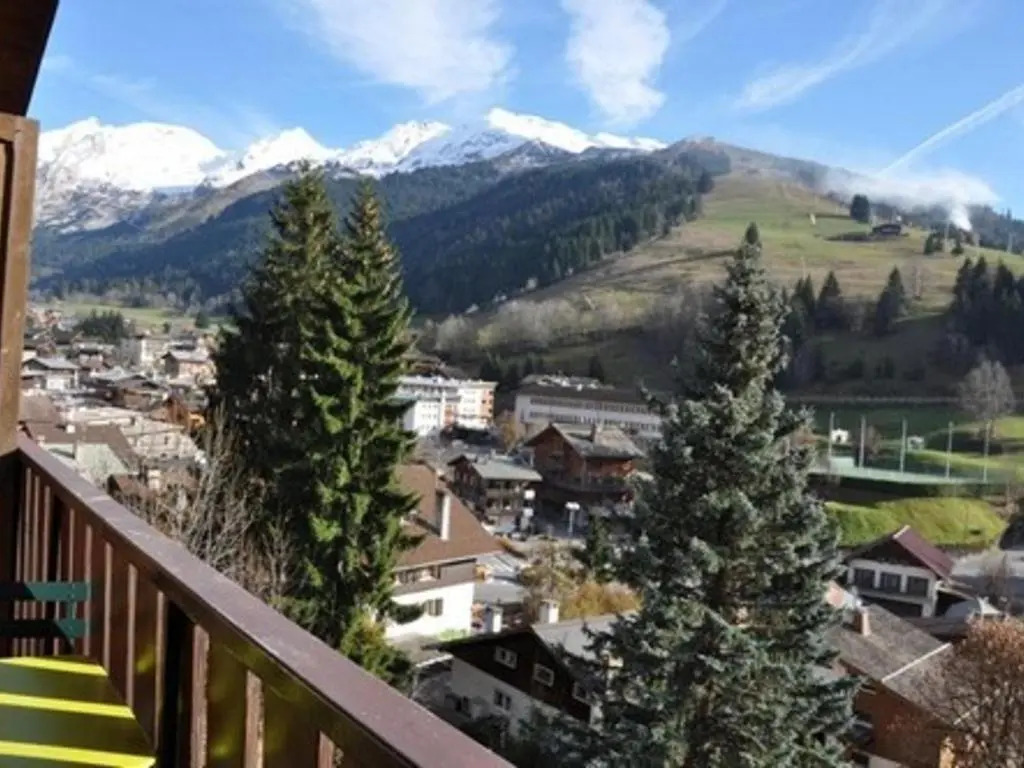 Appartement La Clusaz, 6 pièces, 10 personnes - FR-1-459-177