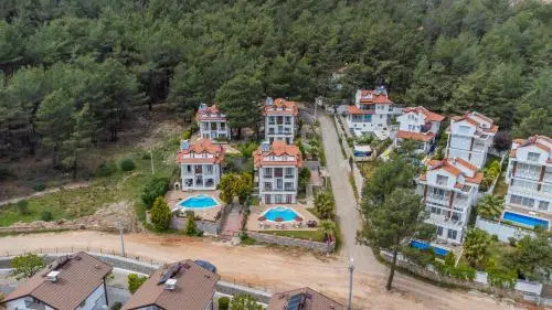 Olympia Villa 1