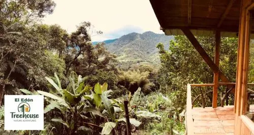 Eden Treehouse