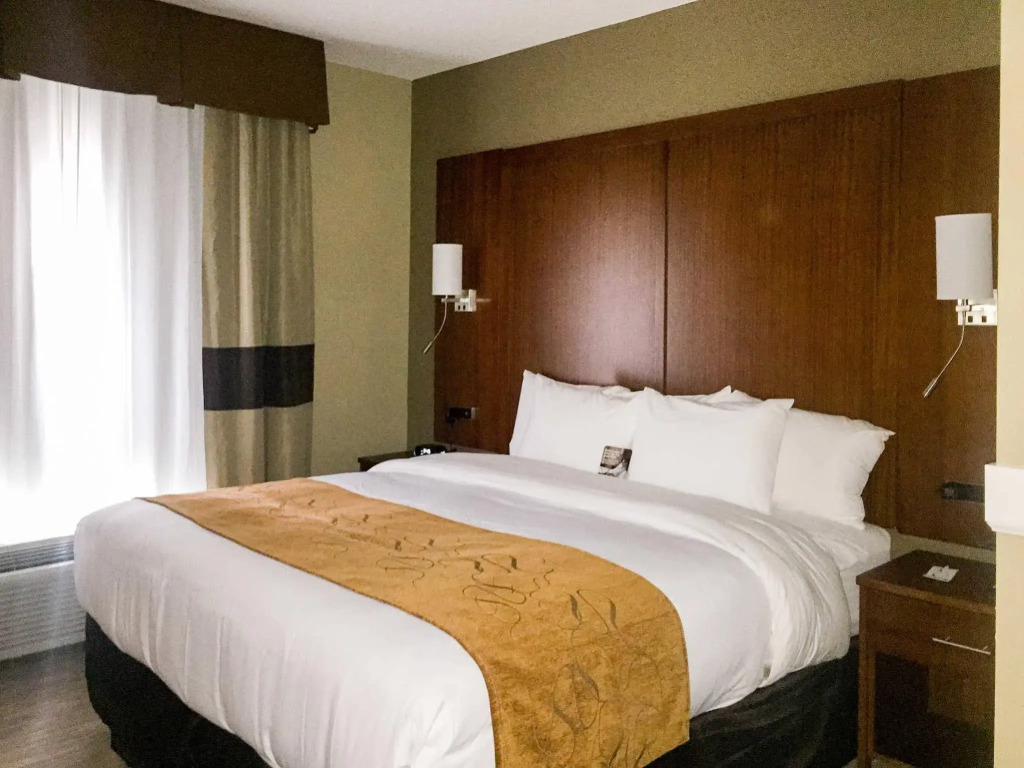 Comfort Suites - University