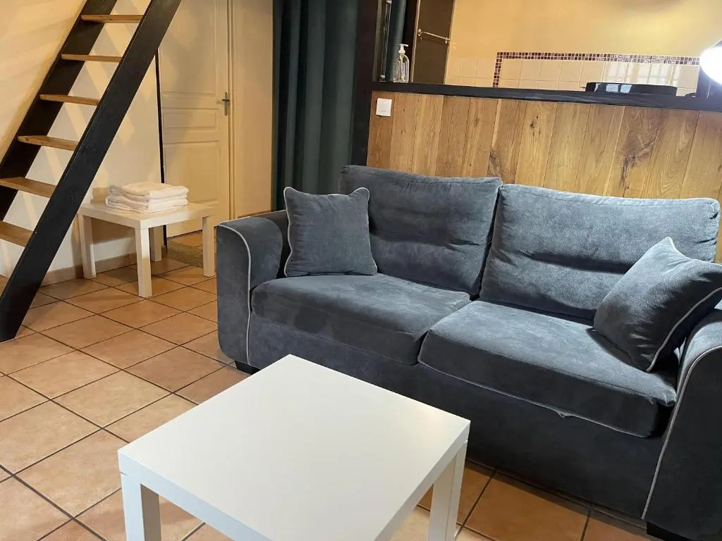 Appartement Le Cadet Roussel Auxerre Les Quais