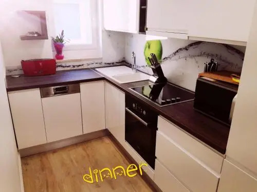 Apartment Goran