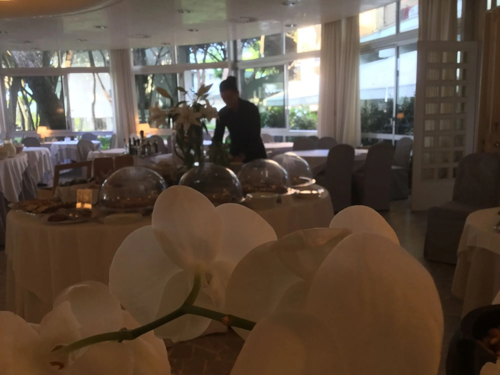 Bellevue Hotel & Resort