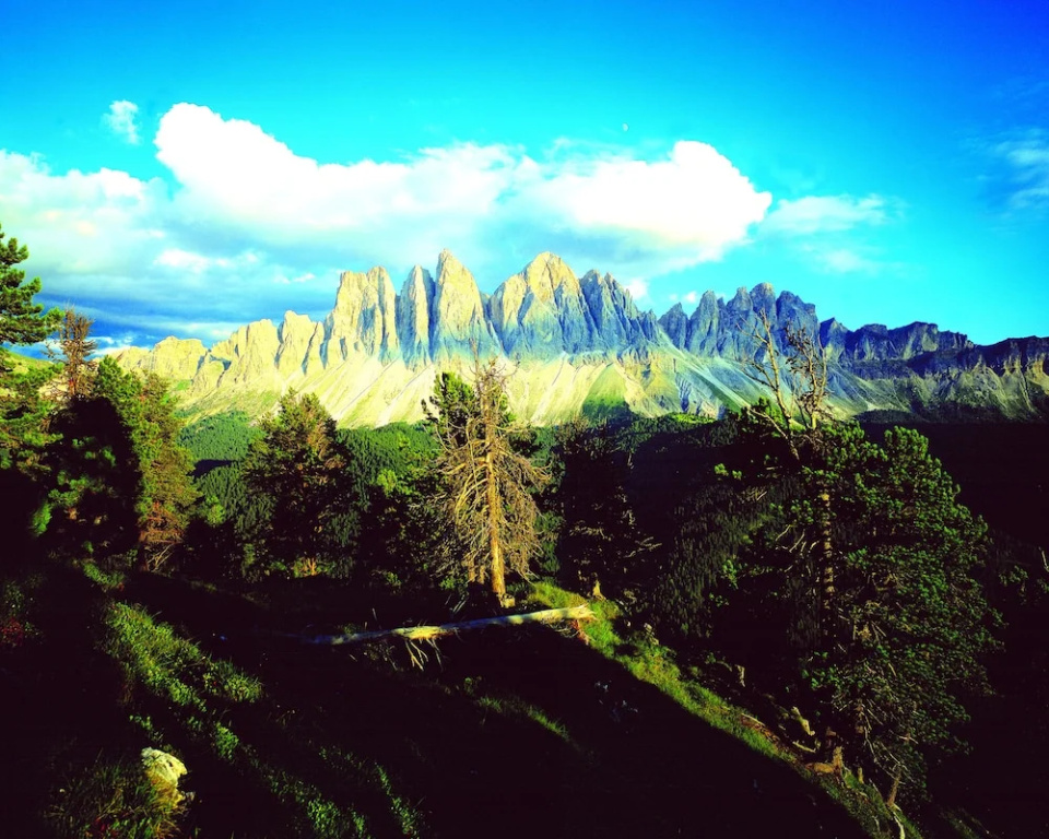 Schopplhof - panoramic apartments dolomites