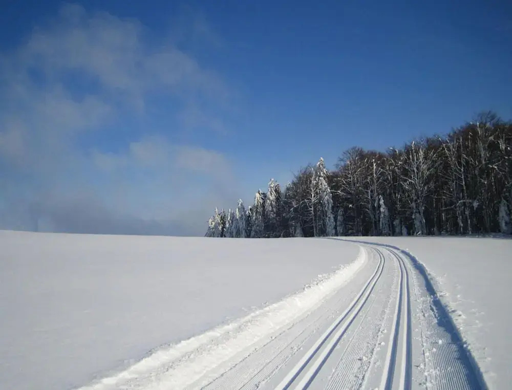 Wohnung in Sonnen nahe Skiliften
