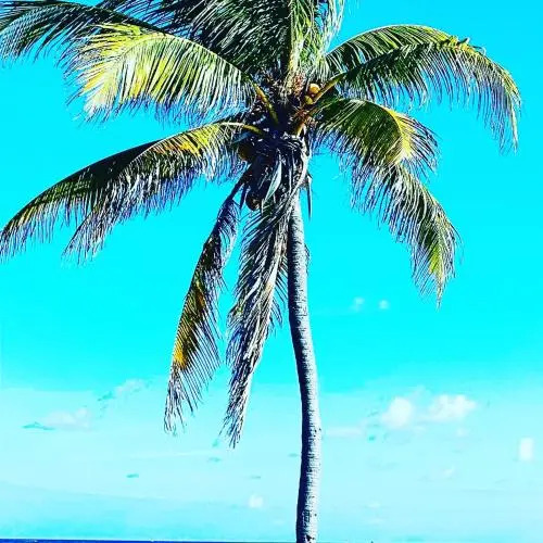 Ocean Front Miami