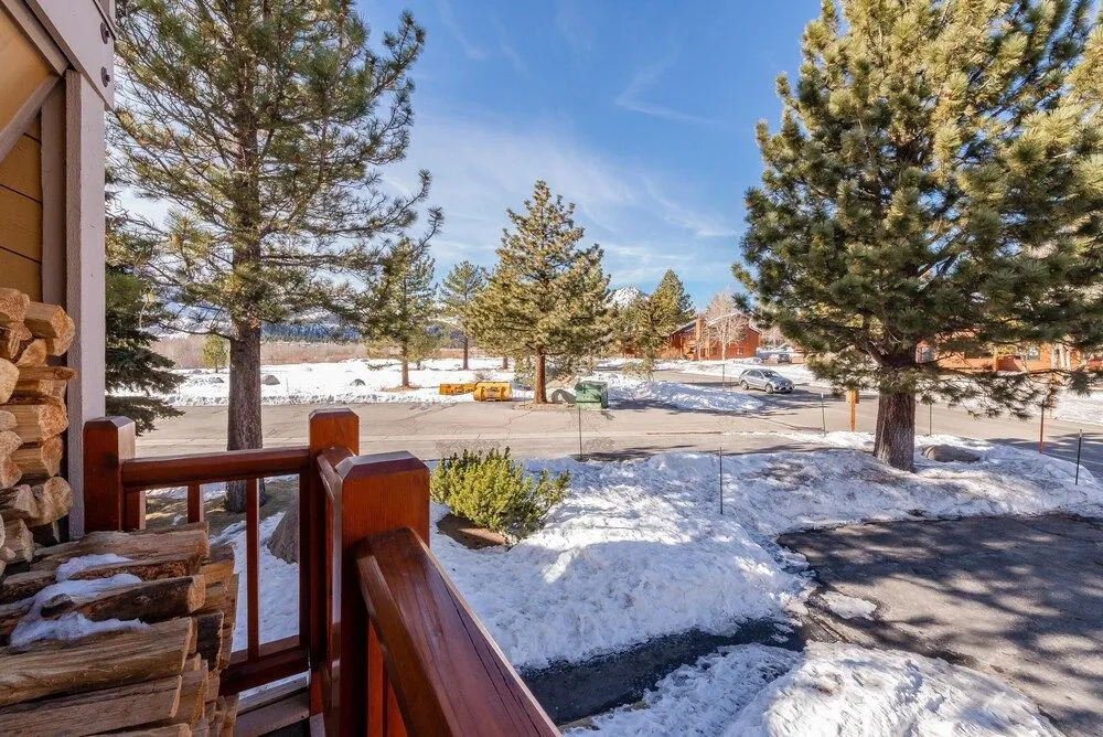 Mammoth Creek #52