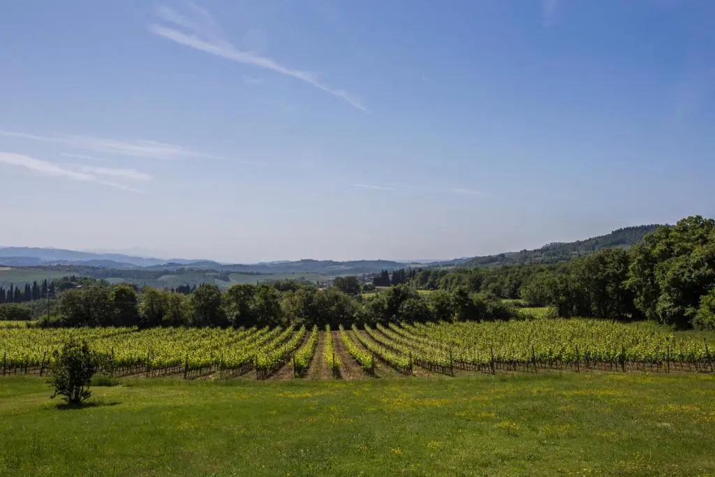 Agriturismo Castelrotto