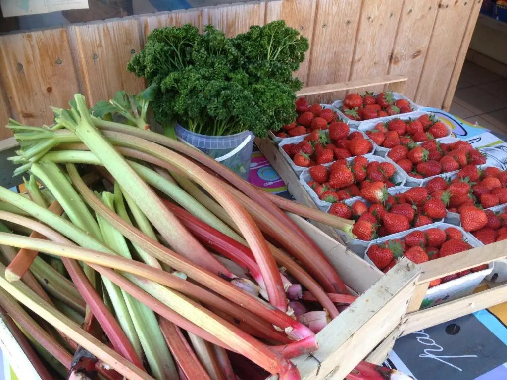 Gite du Marché d'Elsa