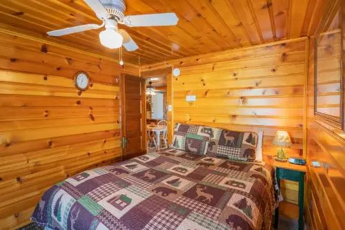 Pine Forest Cabin