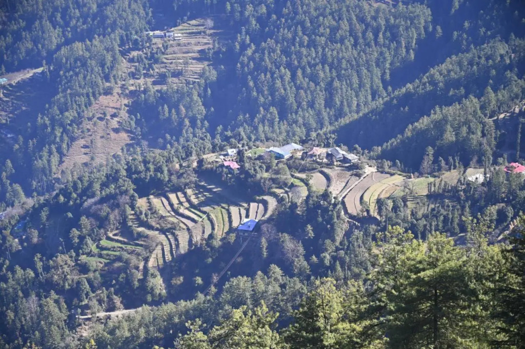 Mashobra Meadows