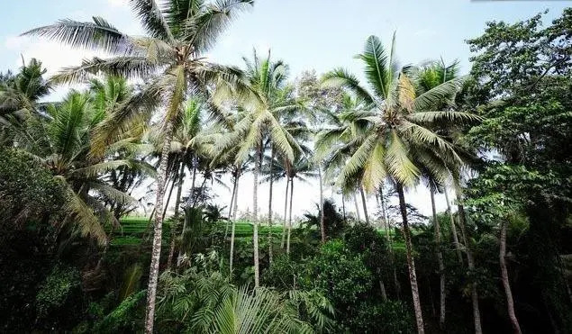 Mulawarman Guest House
