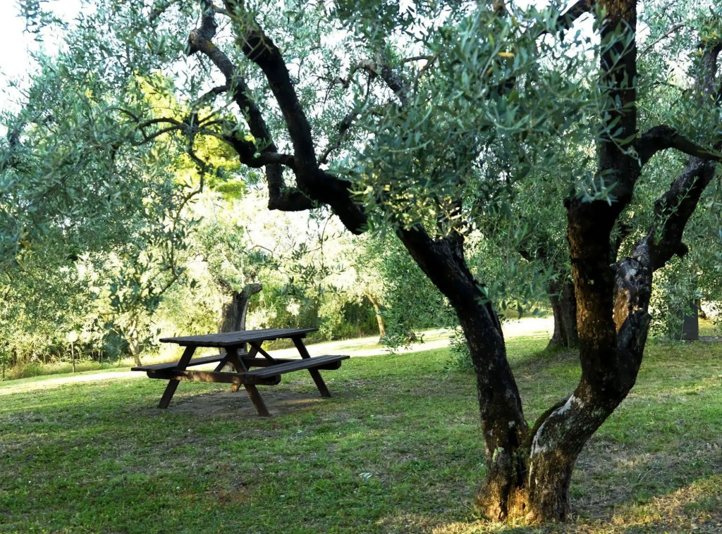 Fattoria Primavera