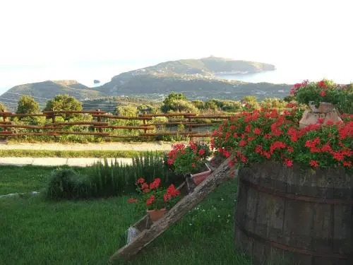 Bed And Breakfast 3 Stars Centola