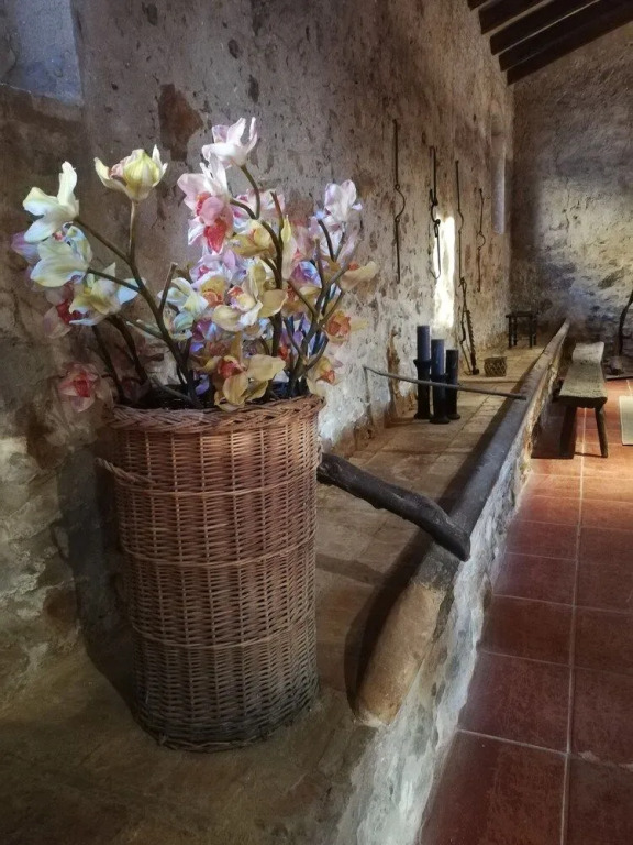 Mas Del Llop Blanc - Dog friendly Hostal Rural - B&B
