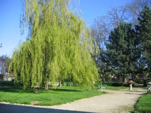 Maison D'hôtes Benoit Breton