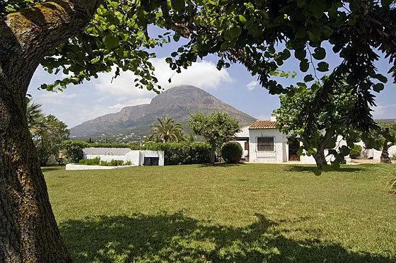 El Olivar