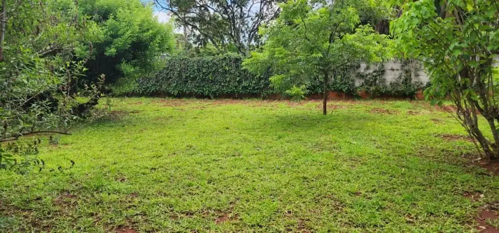 Lovely 3 bed in Mount Pleasant - 2153