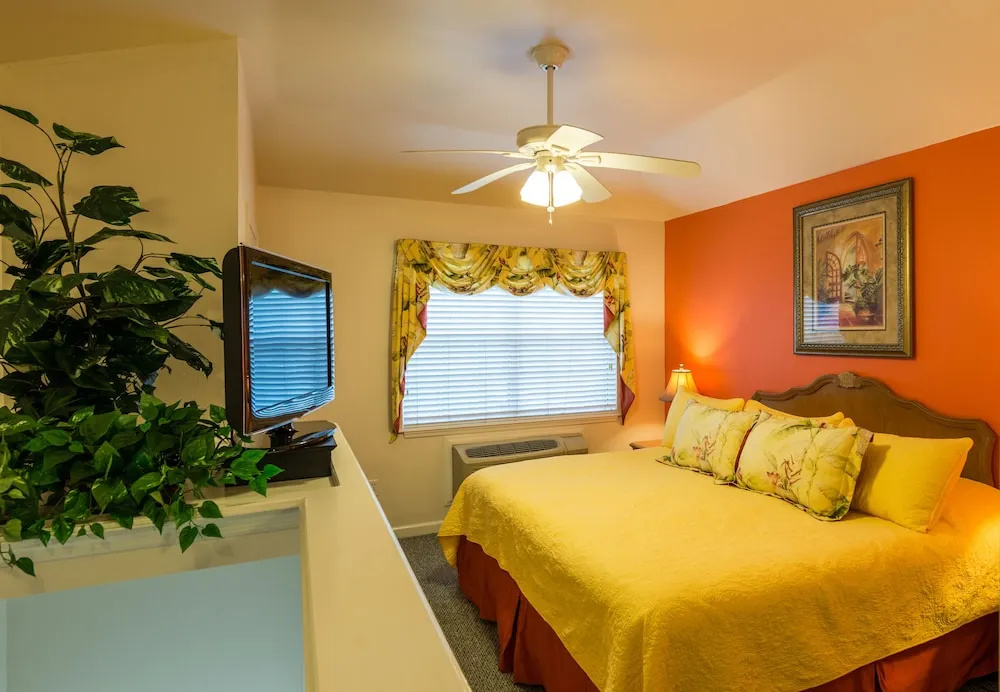 The Cozy Inn