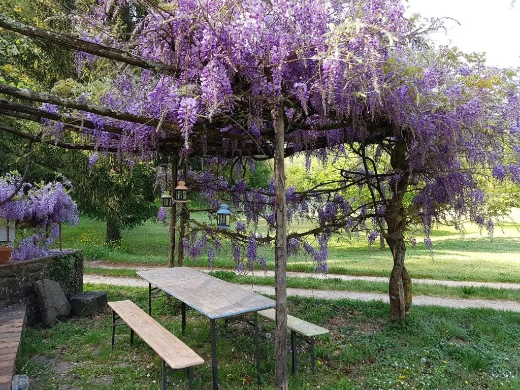 La Casa nel Chianti